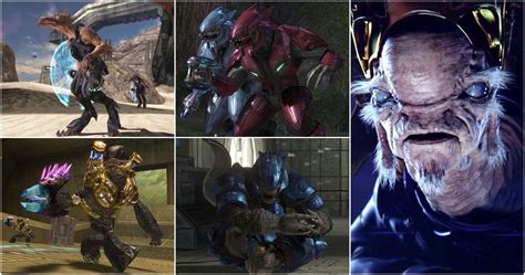 Halo: Every Covenant Species, Ranked From Weakest To .